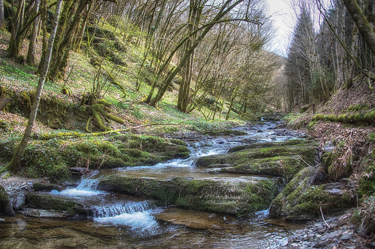 Aux Tanneries De Wiltz Ξενοδοχείο Εξωτερικό φωτογραφία